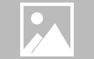 乳山论文网站建设（网站建设的论文）